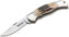Boker - Junior Scout Stag Pocket Knife - 111910