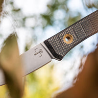 Boker - Plus Bark Beetle Fixed Blade Knife - 02BO038