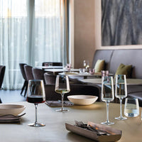 Bormioli Rocco - 12.75oz Planeo White Wine Glasses, Pack of 4 - 450365751