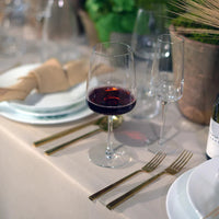 Bormioli Rocco - 16oz Planeo Red Wine Glasses, Pack of 4 - 450365749