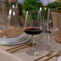 Bormioli Rocco - 16oz Planeo Red Wine Glasses, Pack of 4 - 450365749