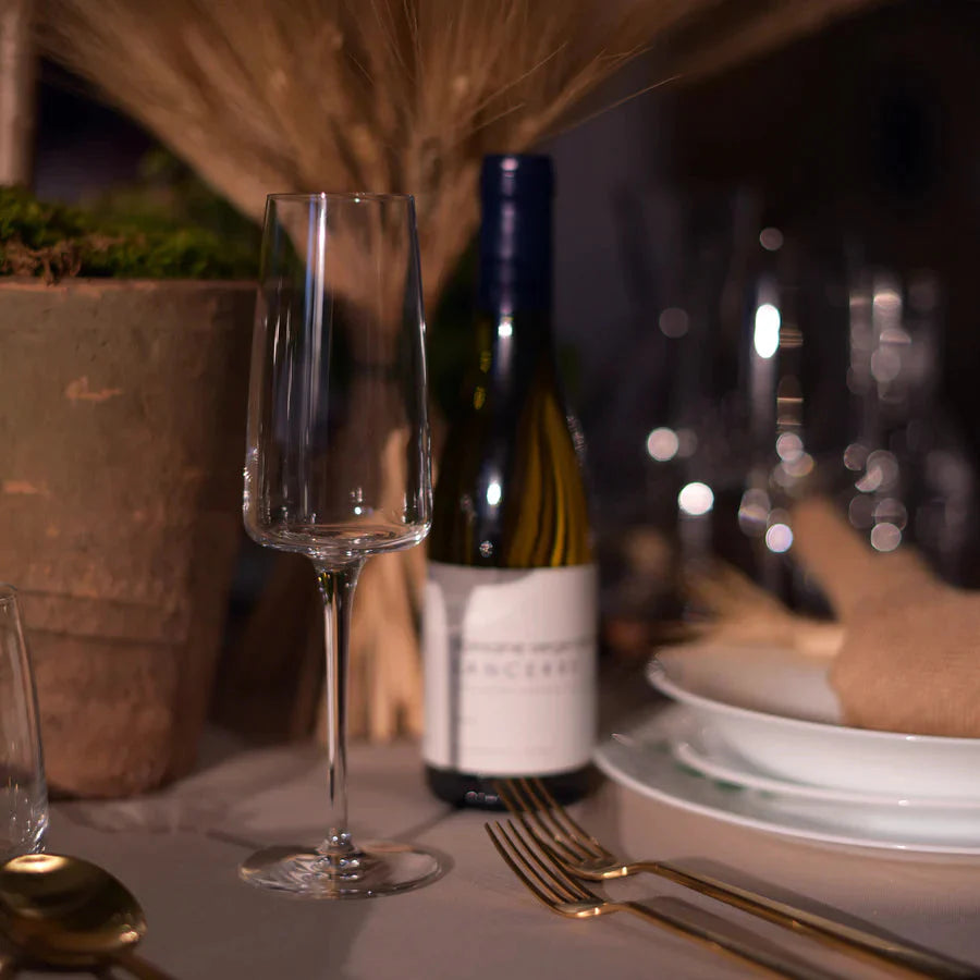 Bormioli Rocco - 8.75oz Planeo Champagne Flutes, Pack of 4 - 450365752