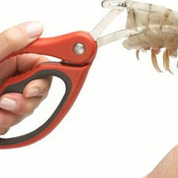 Chef'n - Hightailer Shrimp Deveiner - 102184005 - DISCONTINUED