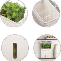 Cole & Mason - Large Fresh Cut Herb Keeper - H105159U