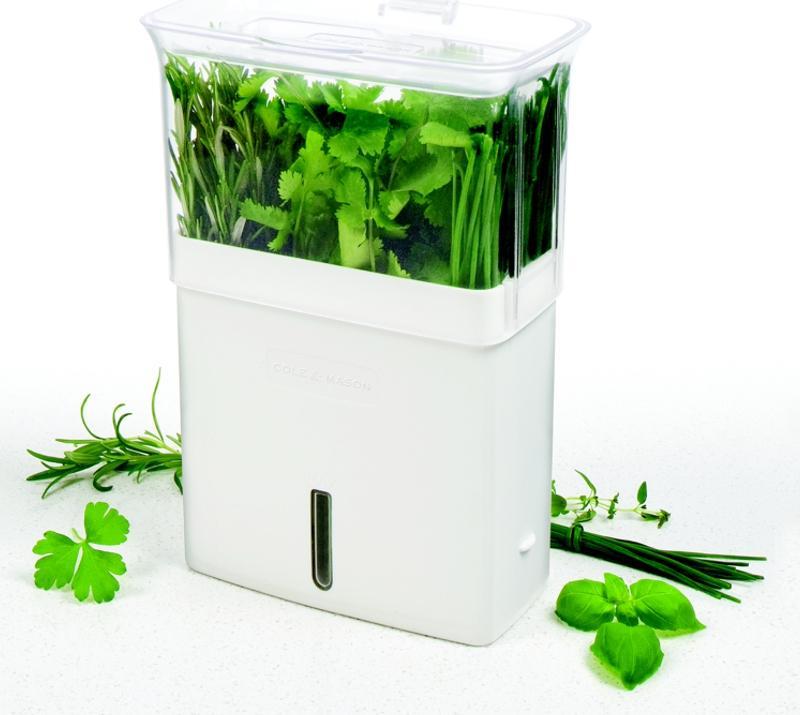 Cole & Mason - Large Fresh Cut Herb Keeper - H105159U