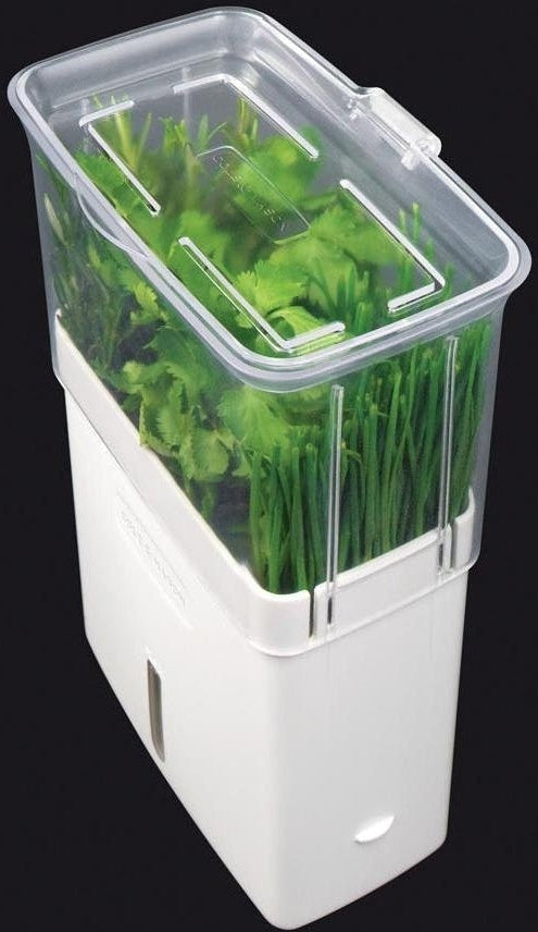 Cole & Mason - Large Fresh Cut Herb Keeper - H105159U