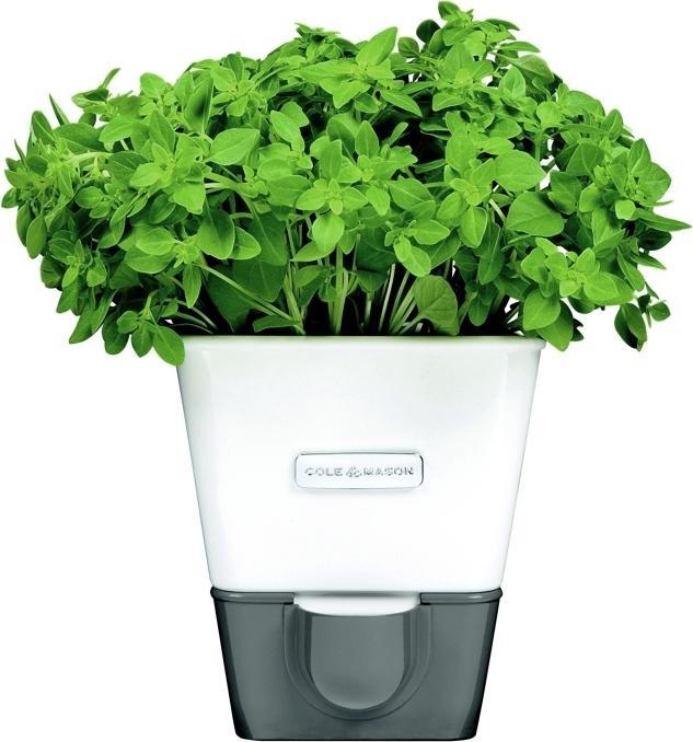 Cole & Mason - Self-Watering Herb Keeper - H105249U