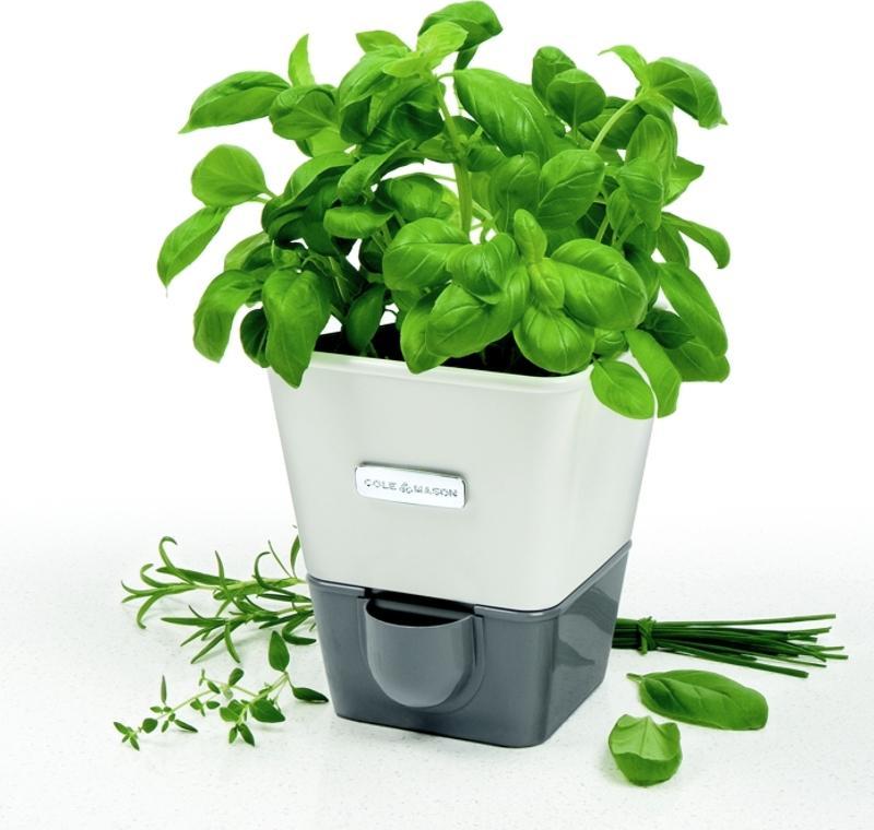 Cole & Mason - Self-Watering Herb Keeper - H105249U