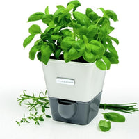 Cole & Mason - Self-Watering Herb Keeper - H105249U