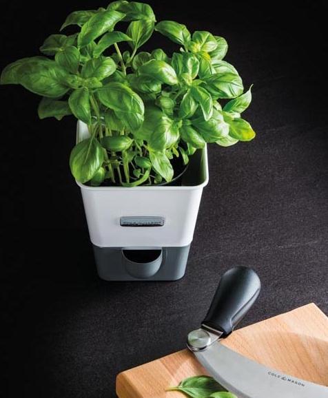 Cole & Mason - Self-Watering Herb Keeper - H105249U
