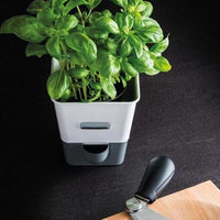 Cole & Mason - Self-Watering Herb Keeper - H105249U