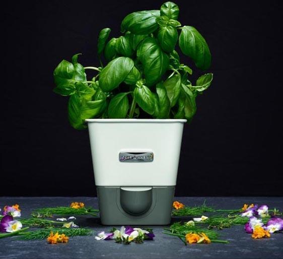 Cole & Mason - Self-Watering Herb Keeper - H105249U