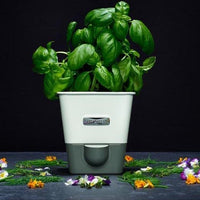 Cole & Mason - Self-Watering Herb Keeper - H105249U