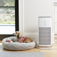 Cuisinart - Purxium Freestanding H13 HEPA Air Purifier - CAP-1000C