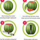 Final Touch - Watermelon Keg Tapping Kit - BD204 - ONYL 2 LEFT!