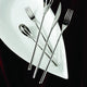 Fortessa - 10.5" Dragonfly Stainless Steel XL Table Knives Set of 12 - 1.5.810.00.005