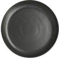 Fortessa - 10.5" Sound Forest Dinner Plates, Pack of 12 - 6300.SND.1341