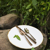 Fortessa - 11.5" Salt Serena Coupe Pasta Bowls, Pack of 4 - TC7400.DV.4.99