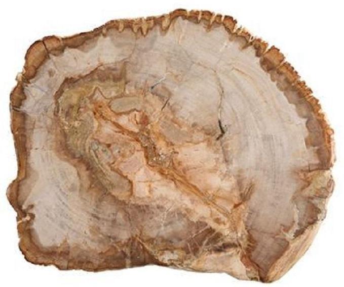 Fortessa - 12" Serveware D&V Petrified Wood Platter - DV.PW.0012