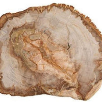 Fortessa - 12" Serveware D&V Petrified Wood Platter - DV.PW.0012