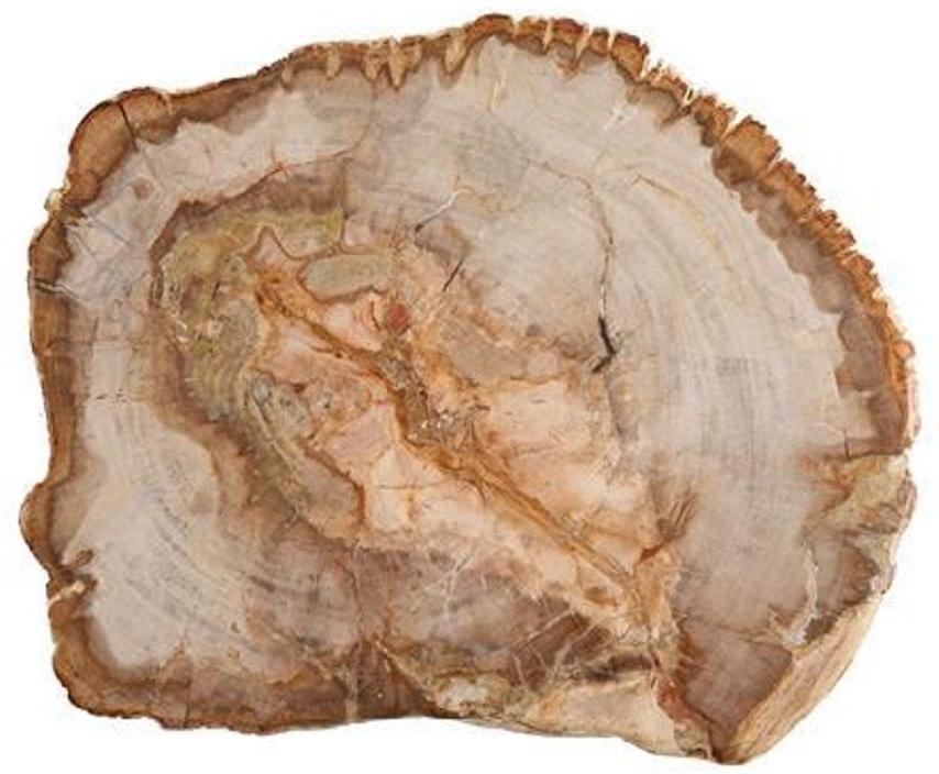 Fortessa - 14" Serveware D&V Petrified Wood Platter - DV.PW.0014
