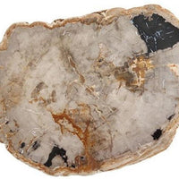 Fortessa - 16" Serveware D&V Petrified Wood Platter - DV.PW.0016