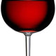 Fortessa - 24oz OutSide D&V Red Wine Glasses Set of 6 - DV.PS.126