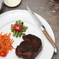 Fortessa - 4 PC 9.25" Serrated Steak Knife Set with Solid Handle (23 cm) - 4PS-248SR