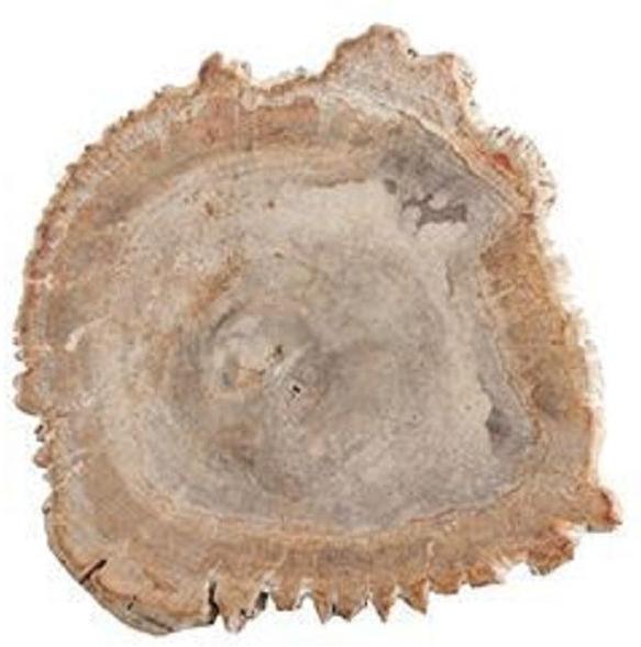 Fortessa - 8-10" Serveware D&V Petrified Wood Platter - DV.PW.0010