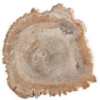 Fortessa - 8-10" Serveware D&V Petrified Wood Platter - DV.PW.0010