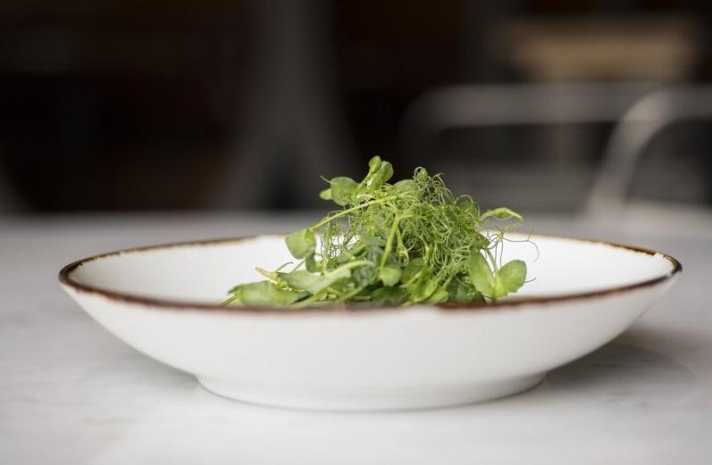 Fortessa - 8.75" Salt Serena Coupe Bowls, Pack of 4 - TC7400.DV.4.97