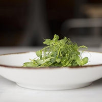 Fortessa - 8.75" Salt Serena Coupe Bowls, Pack of 4 - TC7400.DV.4.97