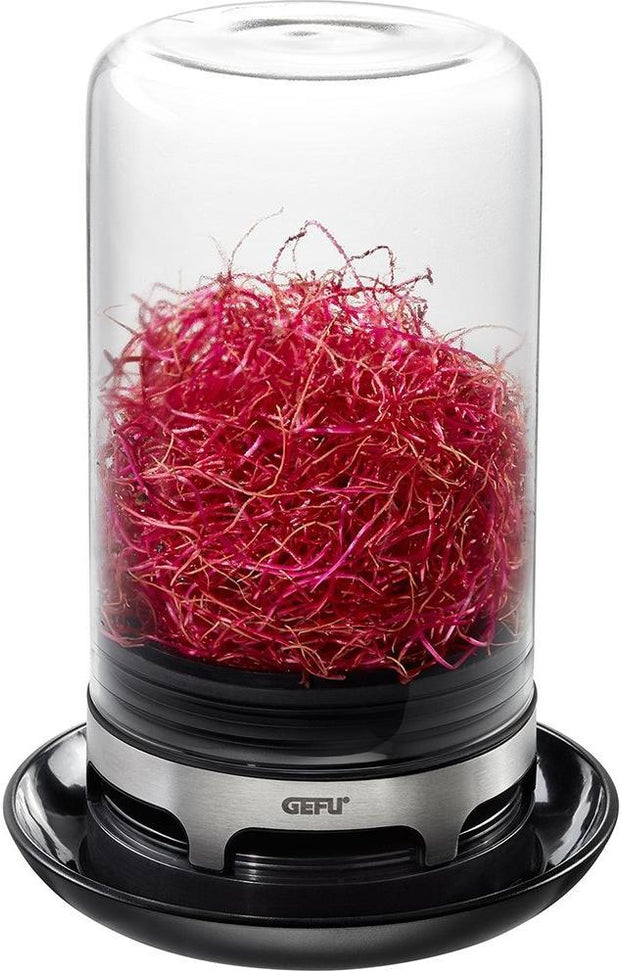 GEFU - BIVITA Sprouting Jar - GF18910