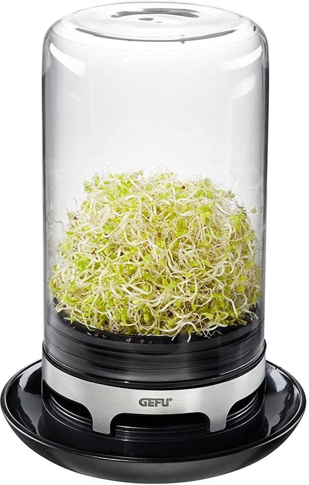 GEFU - BIVITA Sprouting Jar - GF18910