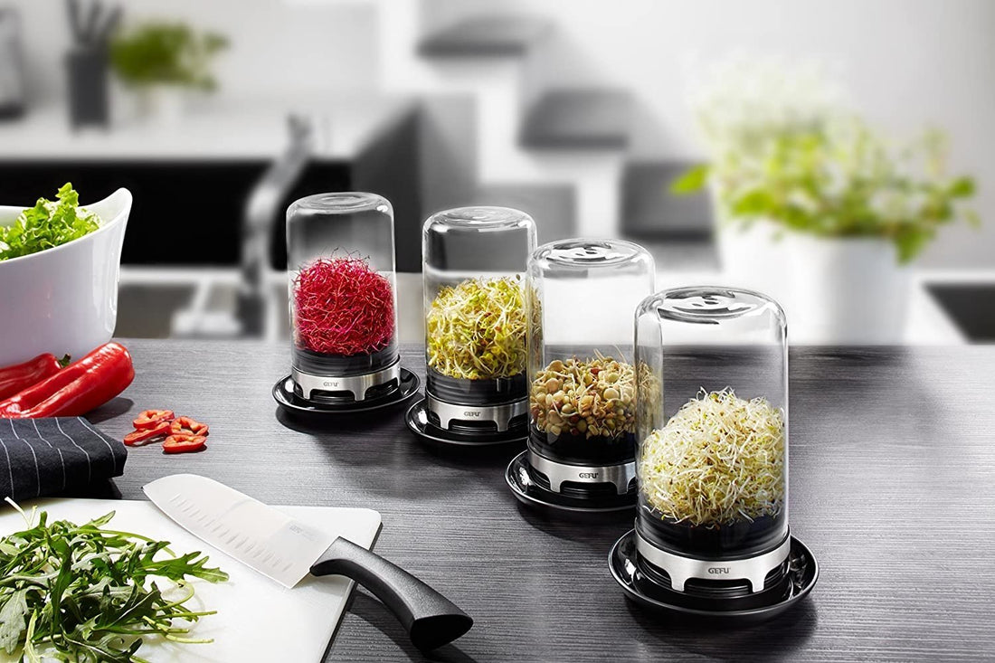 GEFU - BIVITA Sprouting Jar - GF18910