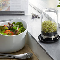 GEFU - BIVITA Sprouting Jar - GF18910