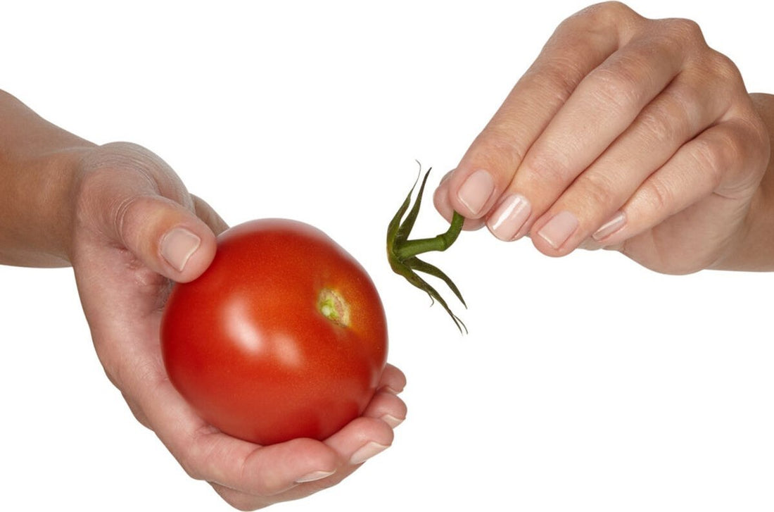 Kuhn Rikon - Piranha Tomato Set - KR-20437