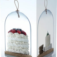 LSA International - 11.8" Ivalo Clear Dome & Ash Base - LG1048-21-301