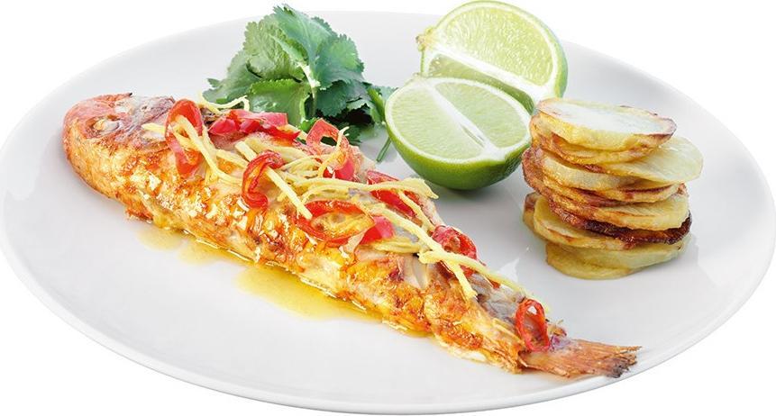 LSA International - Pack of 4 Dine Coupe Dinner Plates - LP079-27-997 - DISCONTINUED