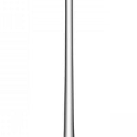 LSA International - Wine Culture Champagne Flutes (Set of 2) - LG1427-12-191