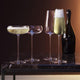 LSA International - Wine Culture Champagne Flutes (Set of 2) - LG1427-12-191