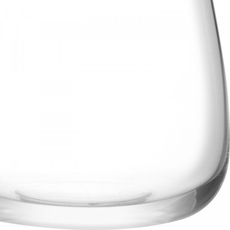 LSA International - Wine Culture Water Glasses (Set of 2) - LG1426-21-191