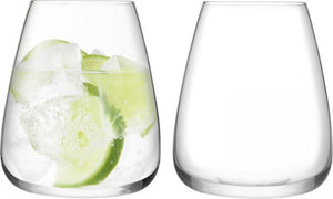 LSA International - Wine Culture Water Glasses (Set of 2) - LG1426-21-191