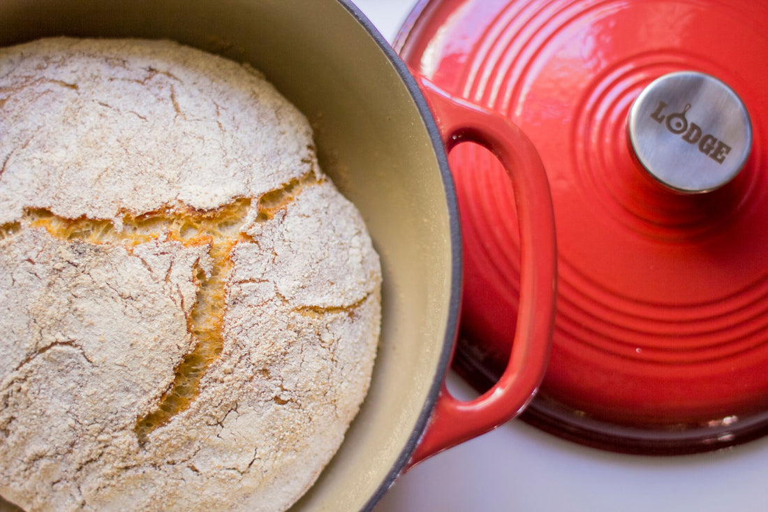 Lodge - 5.7 L Dutch Oven Red - EC6D43