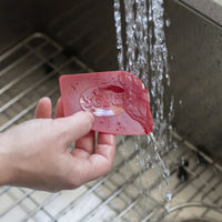 Lodge - Seasoned Cast Iron Care Kit - A-CAREC1