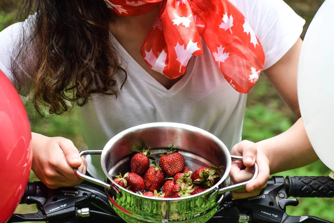 Meyer - Classic 1.5L Steamer Insert - 1010-16-15