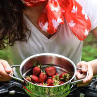 Meyer - Classic 1.5L Steamer Insert - 1010-16-15