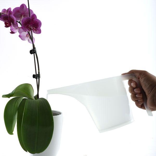 Norpro - 3.5 Cup Measuring Funnel Pitcher - 3040