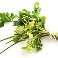 Norpro - Boxed Cotton Twine - 942C