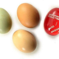 Norpro - Egg-Perfect Egg Timer - 5902C